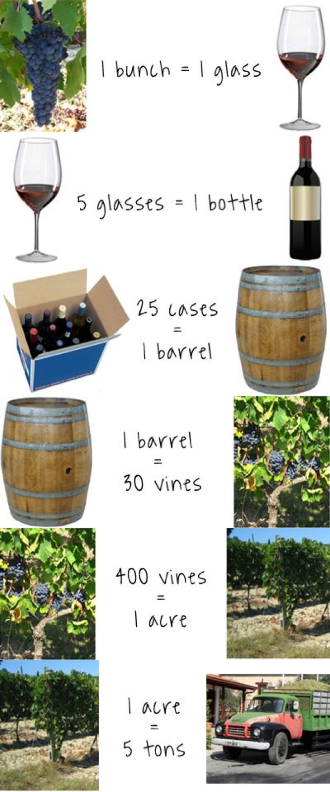 A chart of wine arithmetic: one bunch of grapes makes one glass, five glasses make a bottle, twenty-five cases fill a barrel, one barrel takes thirty vines, four hundred vines fill an acre, and an acre yields five tons of fruit